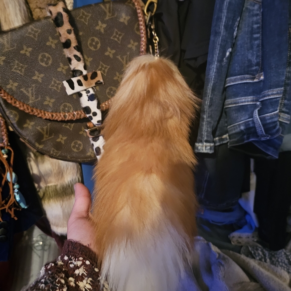 Louis Vuitton Brown Monogram Crossbody Bag with Leopard Accent - Picture 4 of 9